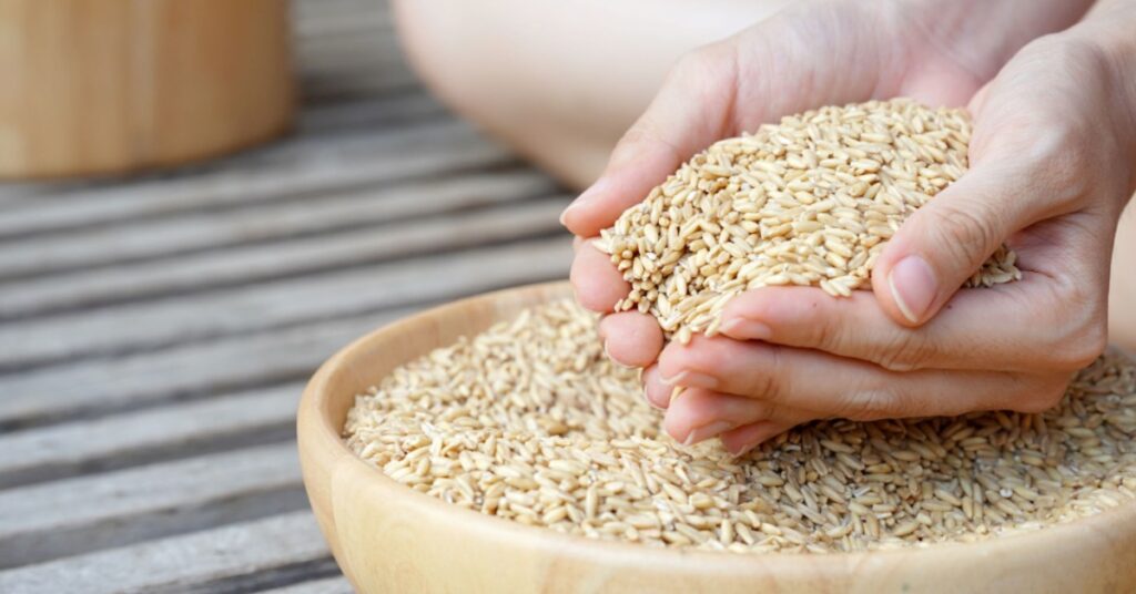 eat lots of fiber to lose weight without exercise
